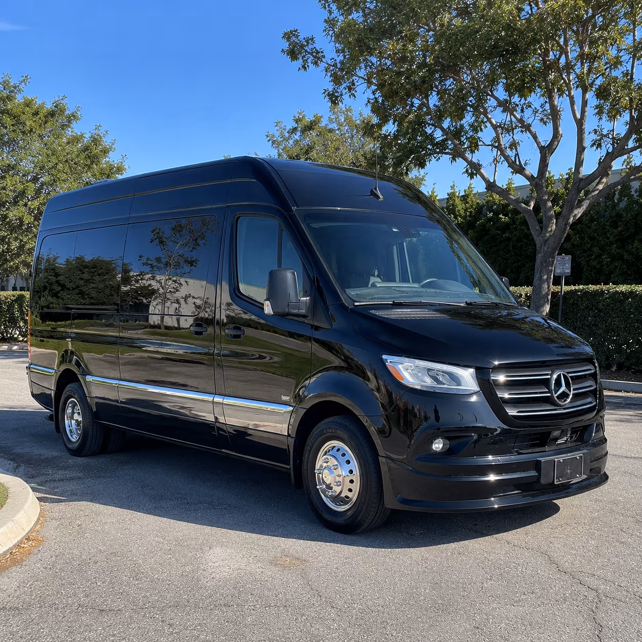 woodbury sprinter limousine