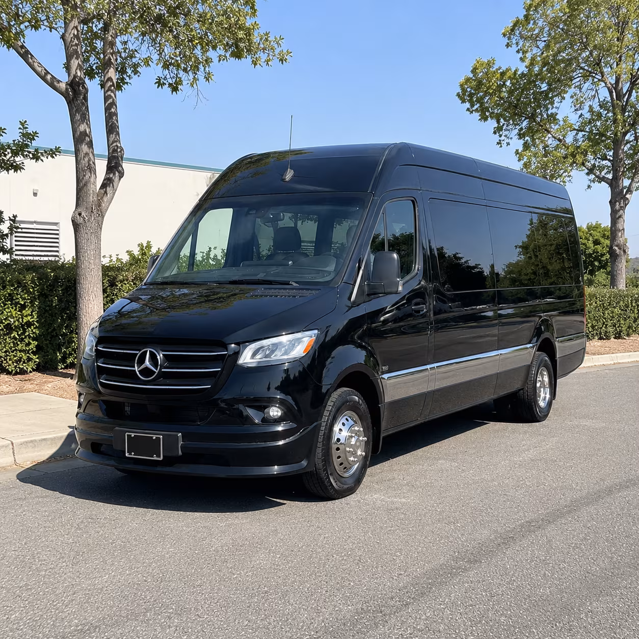 woodbury sprinter van with driver